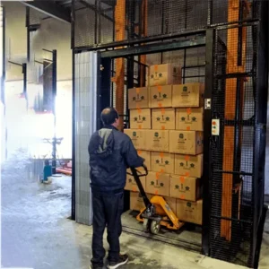 Twin Mast Hydraulic Goods Lift